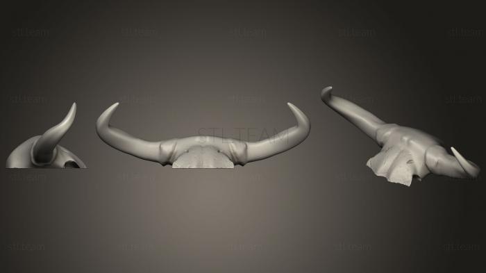 3D model longhorn (STL)